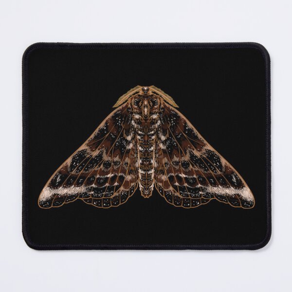 Item preview, Batwing Moth Mushitober Mushi designed and sold by squidego.
