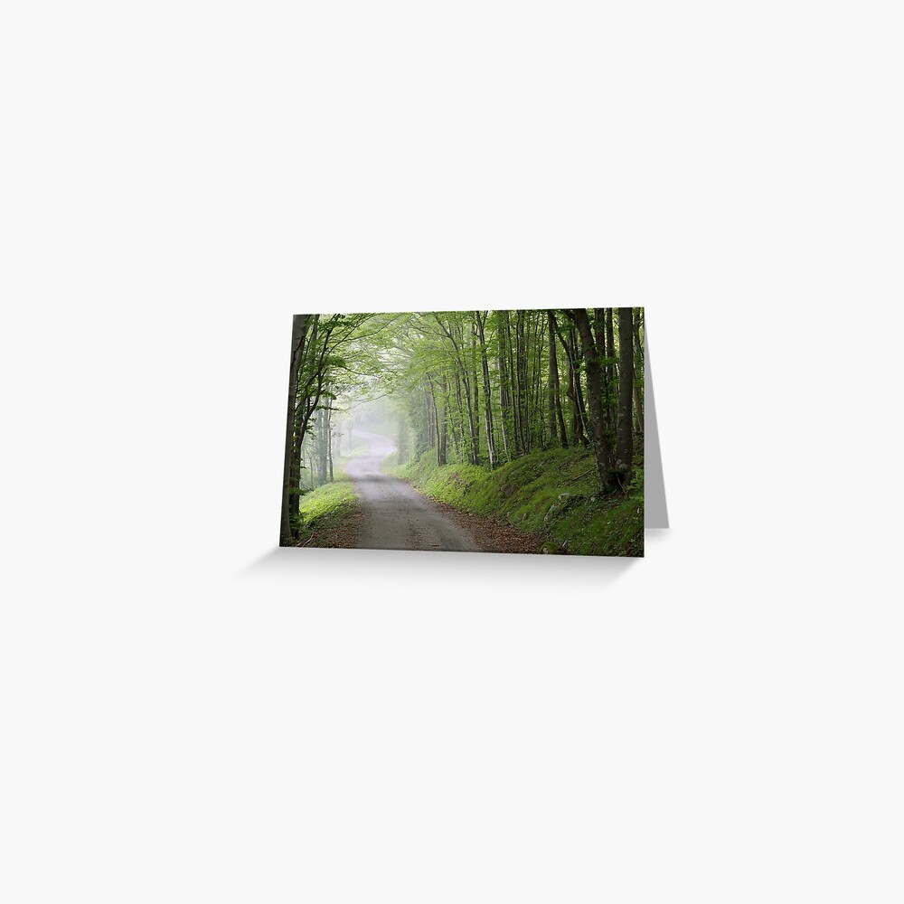 Item preview, Greeting Card designed and sold by patmo.