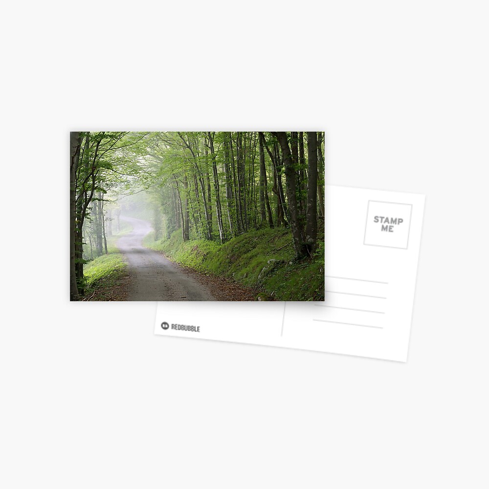 Item preview, Postcard designed and sold by patmo.