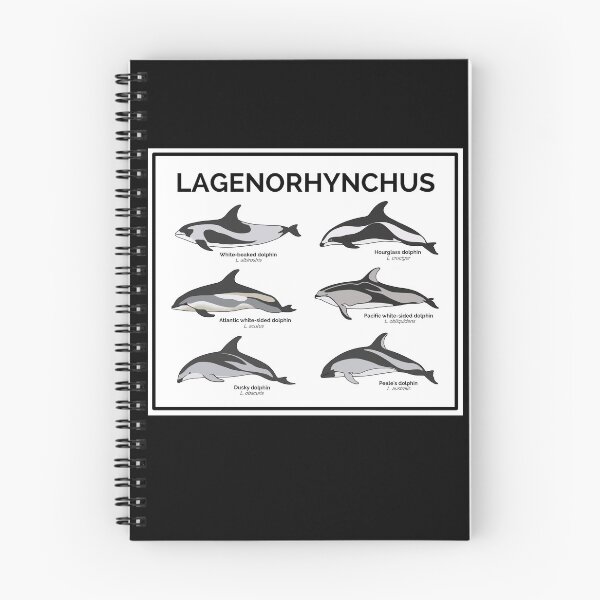 Item preview, Genus Lagenorphynchus designed and sold by taylorrowan.