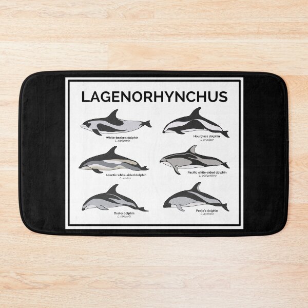 Item preview, Genus Lagenorphynchus designed and sold by taylorrowan.