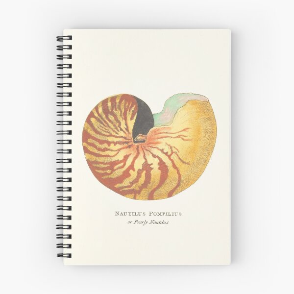 Item preview, Shell print, Vintage Sea Shell, ammonite print, sea shell prints, Nautilus, nautilus printable art designed and sold by maxa0109.