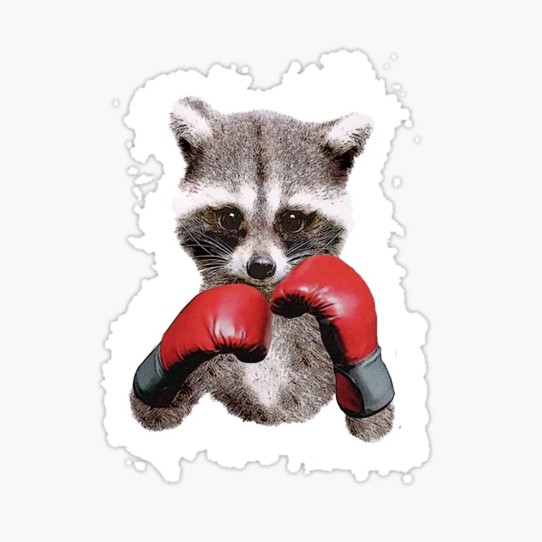 Cute cartoon raccoon  Sticker for Sale by Yaragold