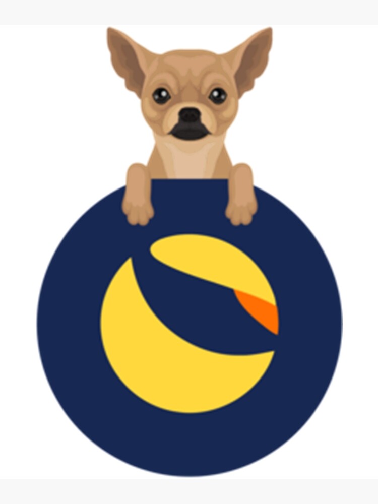 chihuahua crypto coin