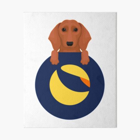 dachshund coin crypto