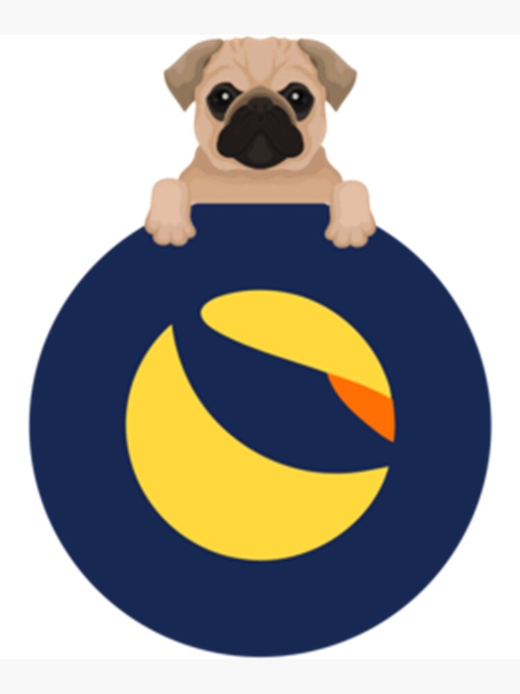 pug coin crypto