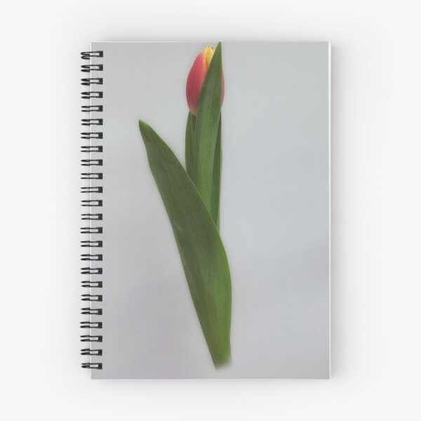 Item preview, Tulip designed and sold by Philip Butler.