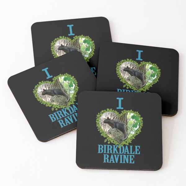 Item preview, I Love Birkdale Ravine! Classic designed and sold by tabathaclark.