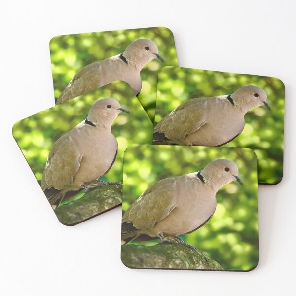 Item preview, Resting Eurasian Collared Dove designed and sold by richardbryce.