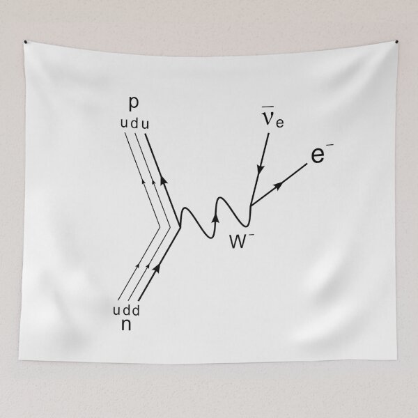 Item preview, Feynman diagram, proton neutron scattering designed and sold by NoetherSym.