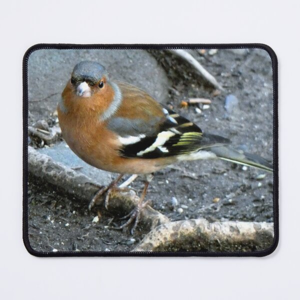 Item preview, chaffinch designed and sold by KathleenDawson.