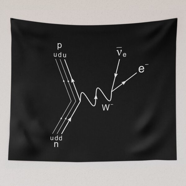 Item preview, Feynman diagram, proton neutron scattering dark version designed and sold by NoetherSym.