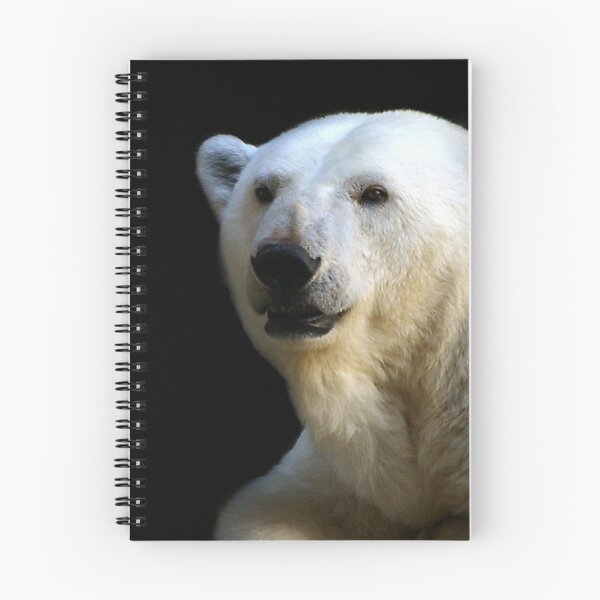 Item preview, Ice bear designed and sold by Bluesrose.