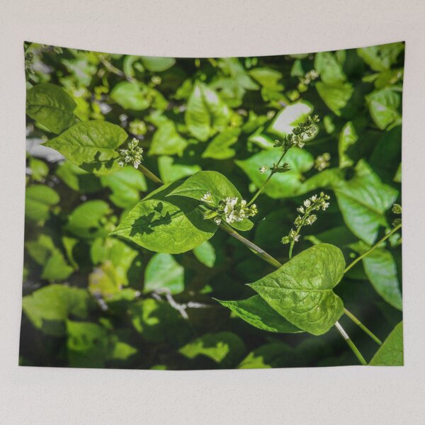Item preview, close up green leaves  designed and sold by kaysdraw.