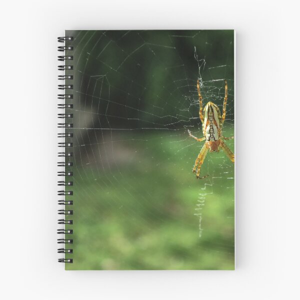 Item preview, Enamelled Spider designed and sold by Charles Kosina.