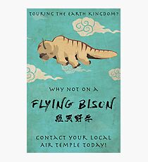 Vintage Flying Bison Travel Poster Photographic Print