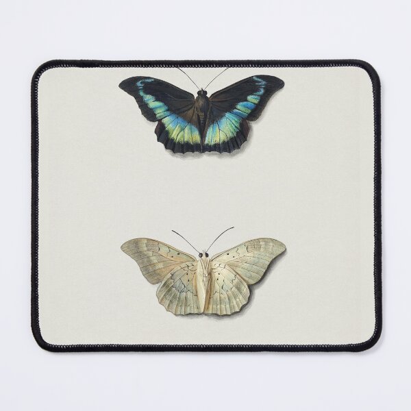Item preview, Butterfly Vintage Nature Illustration designed and sold by lilach-e.