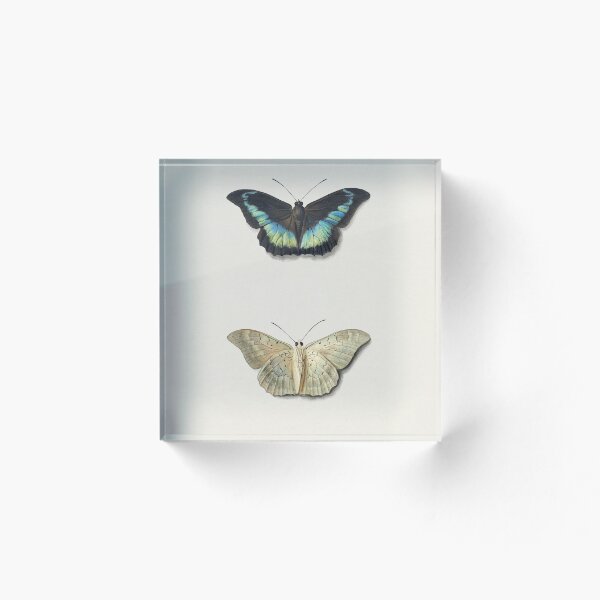 Item preview, mariposa, vendimia, naturaleza, ilustración designed and sold by lilach-e.