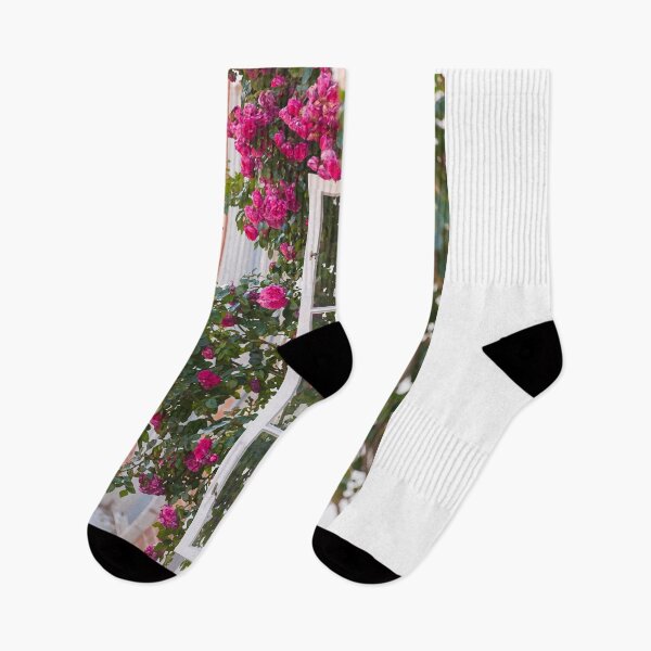 Artikelvorschau, Fenster; Fensterladen; Rose; Rosen entworfen und verkauft von Torsten Krüger.
