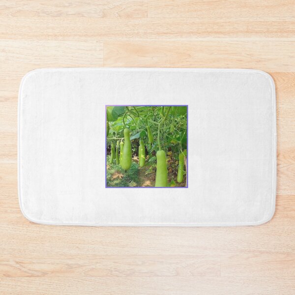 Item preview, Bottle Gourd designed and sold by Saiamrita123.