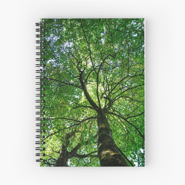 Item preview, Tree from down below designed and sold by merakiinfocus.
