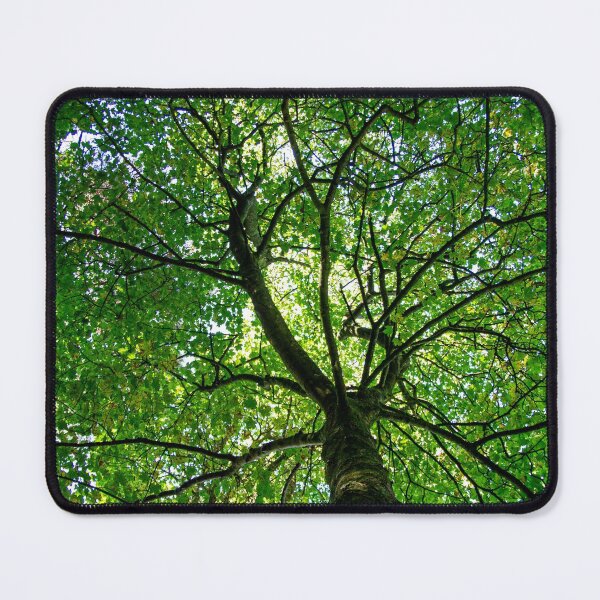 Item preview, Tree from down below designed and sold by merakiinfocus.