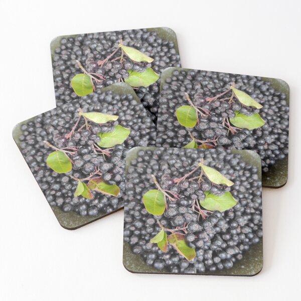 Item preview, Aronia berries in green bowl designed and sold by Gourmetkater.