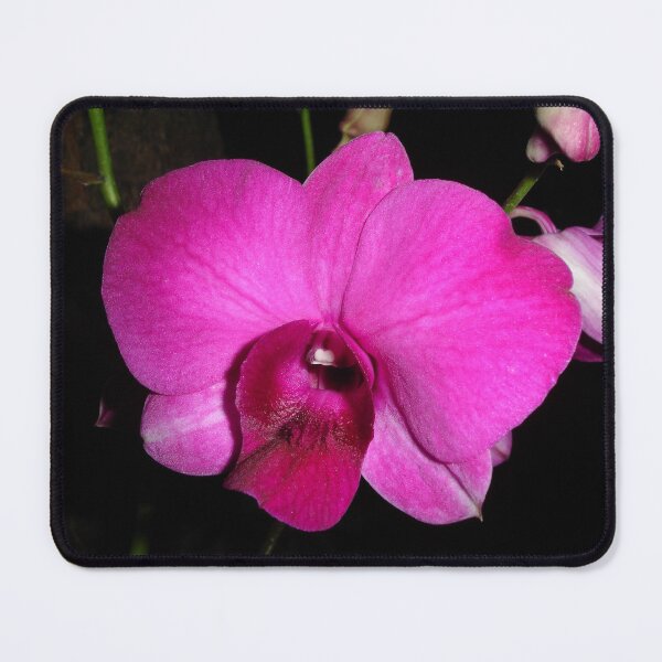 Item preview, Purple Orchid designed and sold by Rainy.