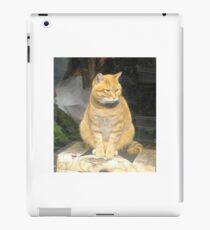 Fat cat iPad Case/Skin