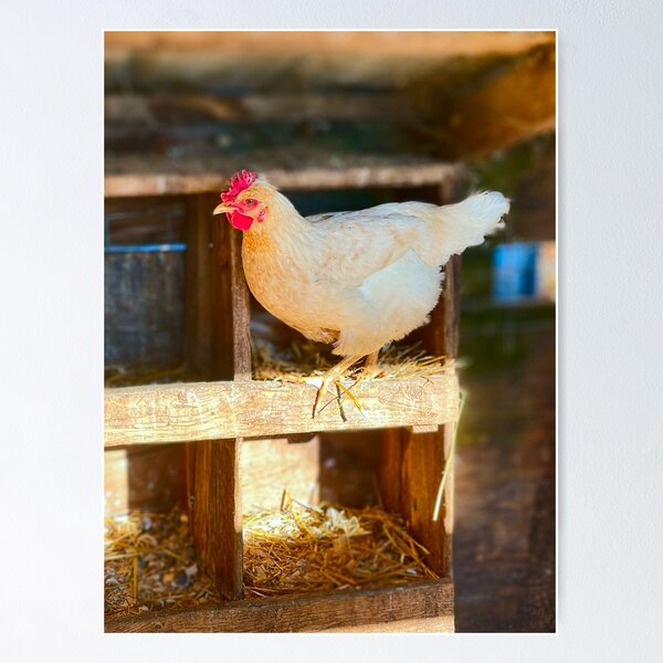 Item preview, Penny the Hen designed and sold by Brinleylynn.