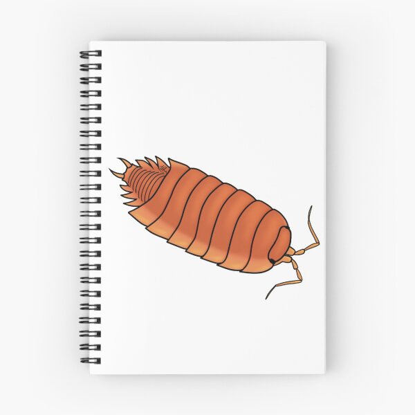 Item preview, Porcellio scaber ‘orange’ isopod designed and sold by Lilehn-art.
