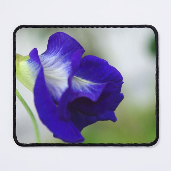 Item preview, Blue Pea designed and sold by Rainy.