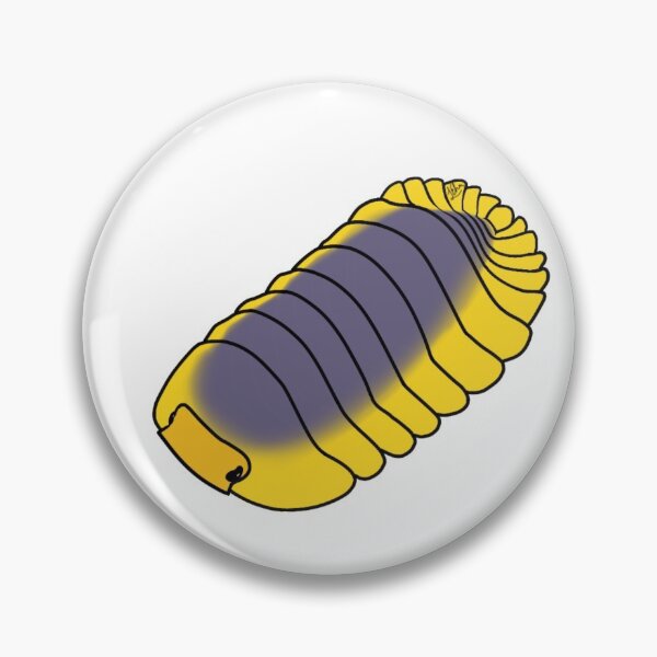 Item preview,  Cubaris spec. “Lemon blue” isopod designed and sold by Lilehn-art.