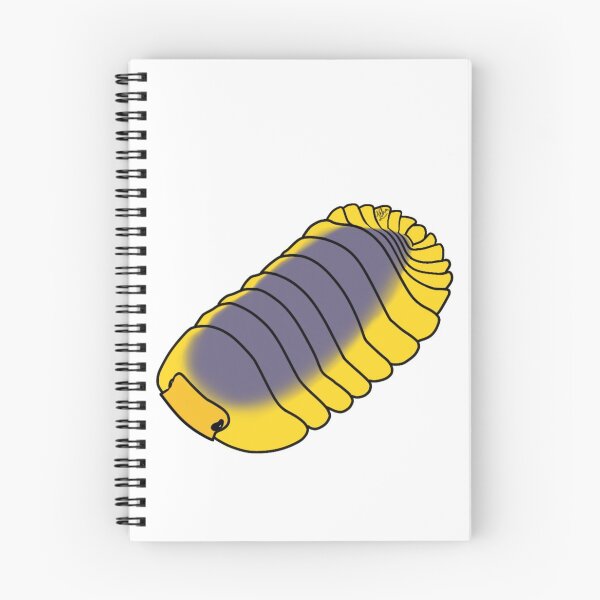 Item preview,  Cubaris spec. “Lemon blue” isopod designed and sold by Lilehn-art.