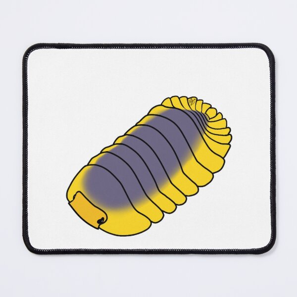 Item preview,  Cubaris spec. “Lemon blue” isopod designed and sold by Lilehn-art.