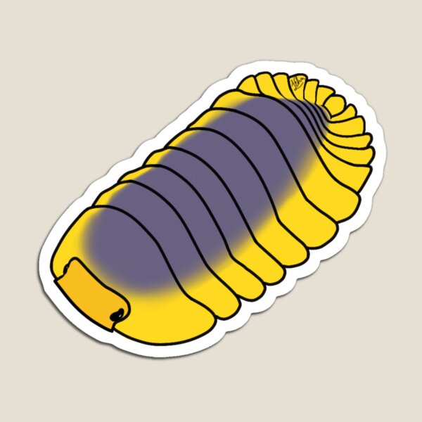 Item preview,  Cubaris spec. “Lemon blue” isopod designed and sold by Lilehn-art.