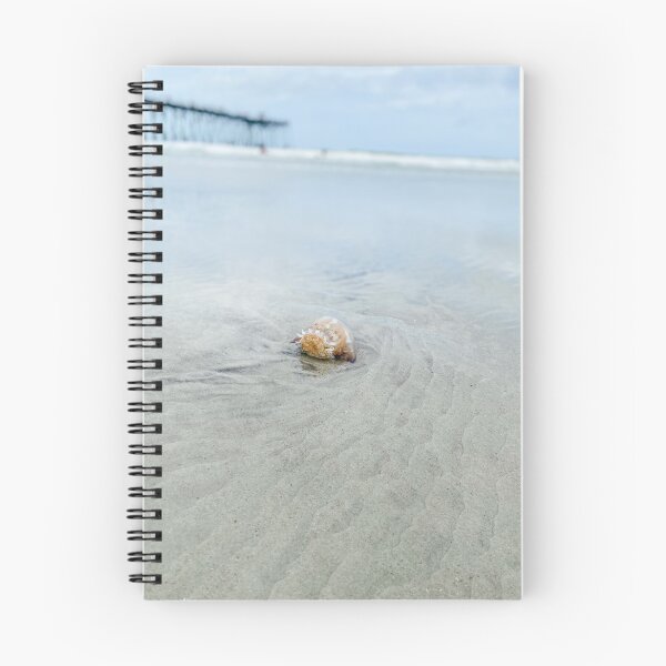Item preview, Jellyfish washed ashore designed and sold by Awaters14.