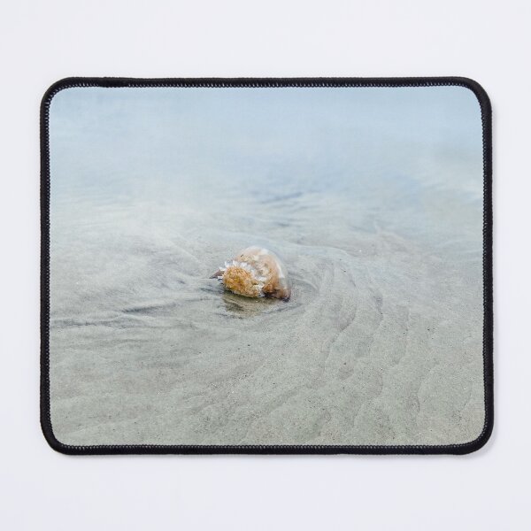 Item preview, Jellyfish washed ashore designed and sold by Awaters14.