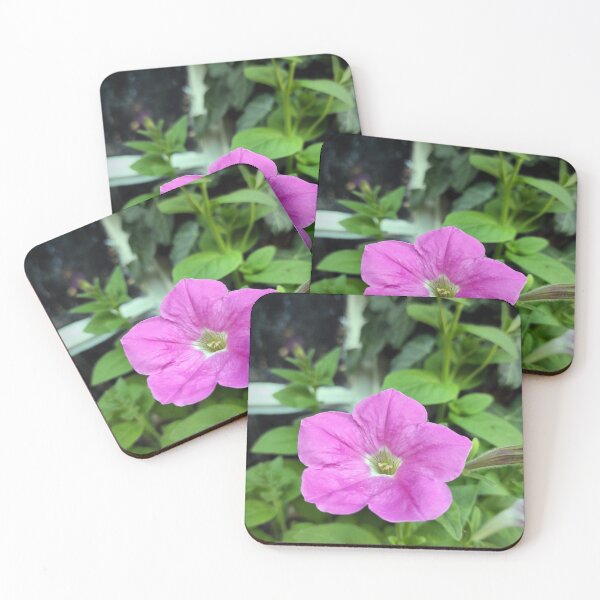 Item preview, Petunia in front of the window designed and sold by Gourmetkater.