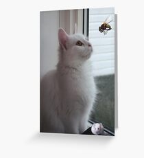 WONDERING..NOW HOW DID HE GET IN HERE? CAT & UNWANTED GUESTS > PICTURE AND OR CARD Greeting Card