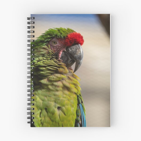 Item preview, Beautiful parrot designed and sold by dsgn-by-frost.