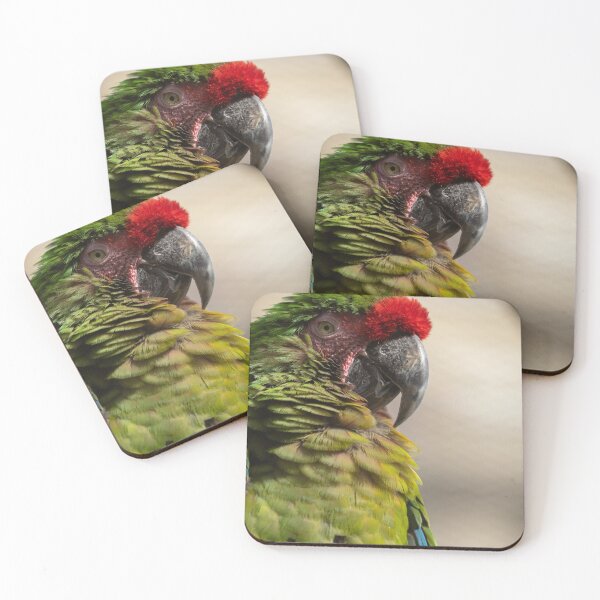 Item preview, Beautiful parrot designed and sold by dsgn-by-frost.