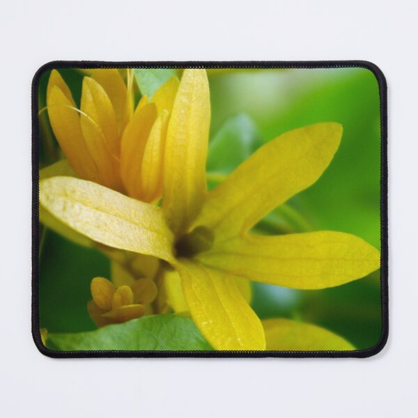 Item preview, A Little Yellow designed and sold by Rainy.