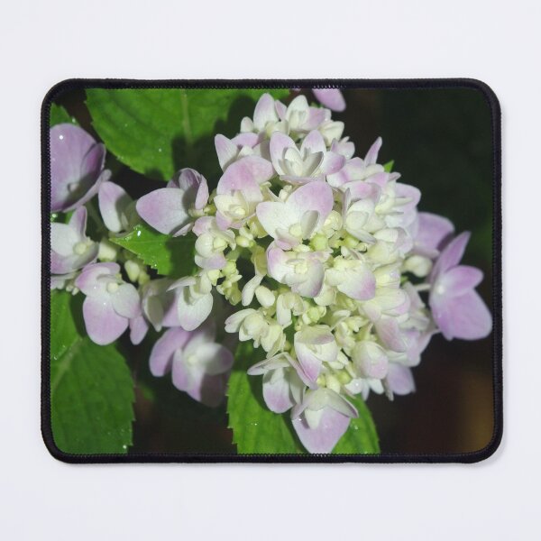 Item preview, Pretty Purple Flowers designed and sold by Rainy.
