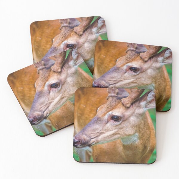 Item preview, Pretty Boy designed and sold by Thymely.