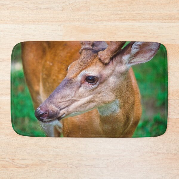 Item preview, Pretty Boy designed and sold by Thymely.