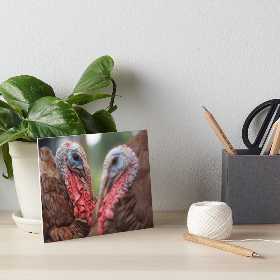 Item preview, Art Board Print designed and sold by OzarkAkerzFarm.