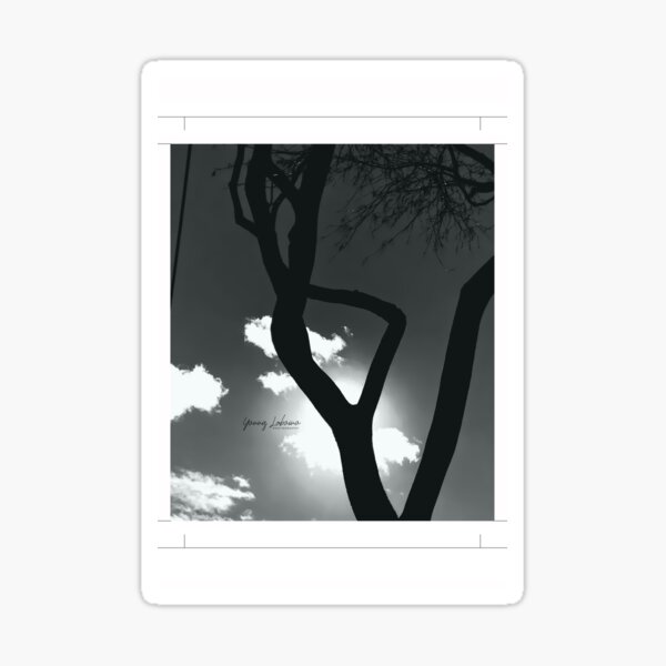 Mudras Sticker