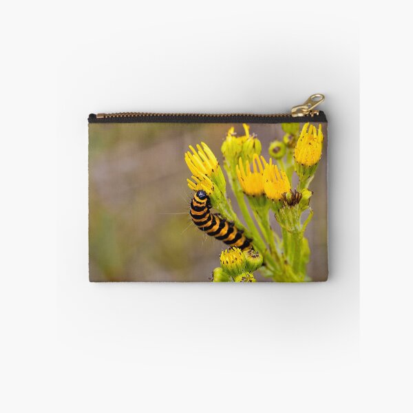 Item preview, Cinnabar Moth Caterpillar on Ragwort Flowers designed and sold by Violaman.