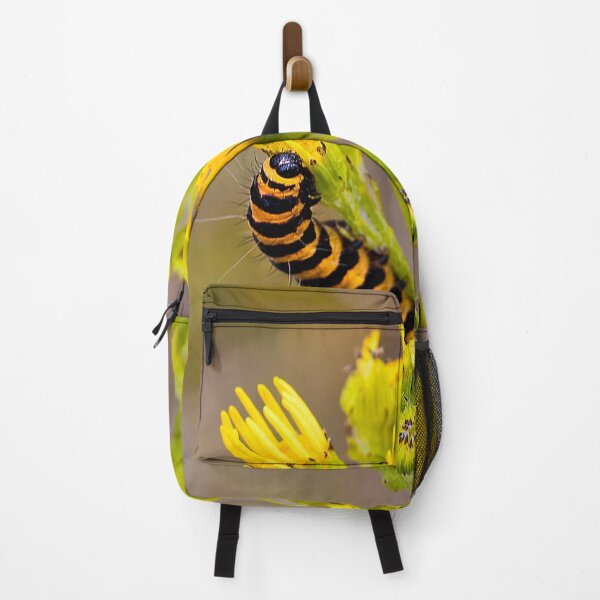 Item preview, Cinnabar Moth Caterpillar on Ragwort Flowers designed and sold by Violaman.